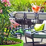 Ibis Styles Avenue Du Rhin Hotel